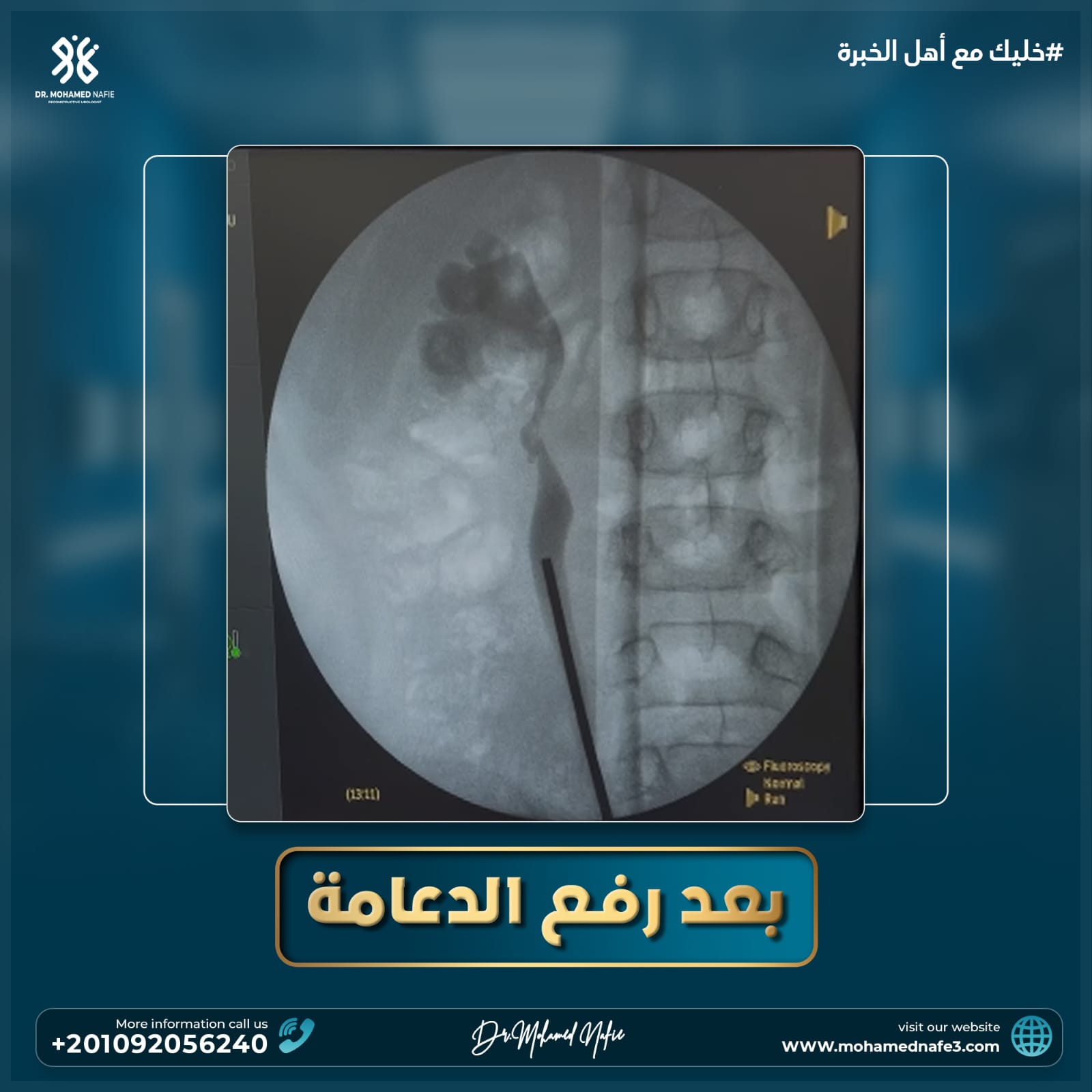 دكتور محمد نافع