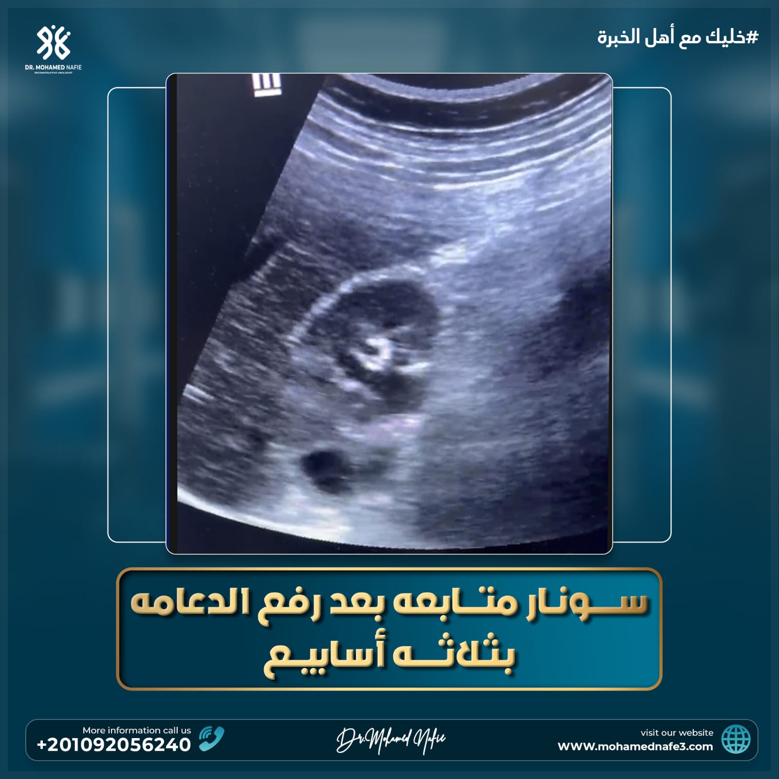 دكتور محمد نافع