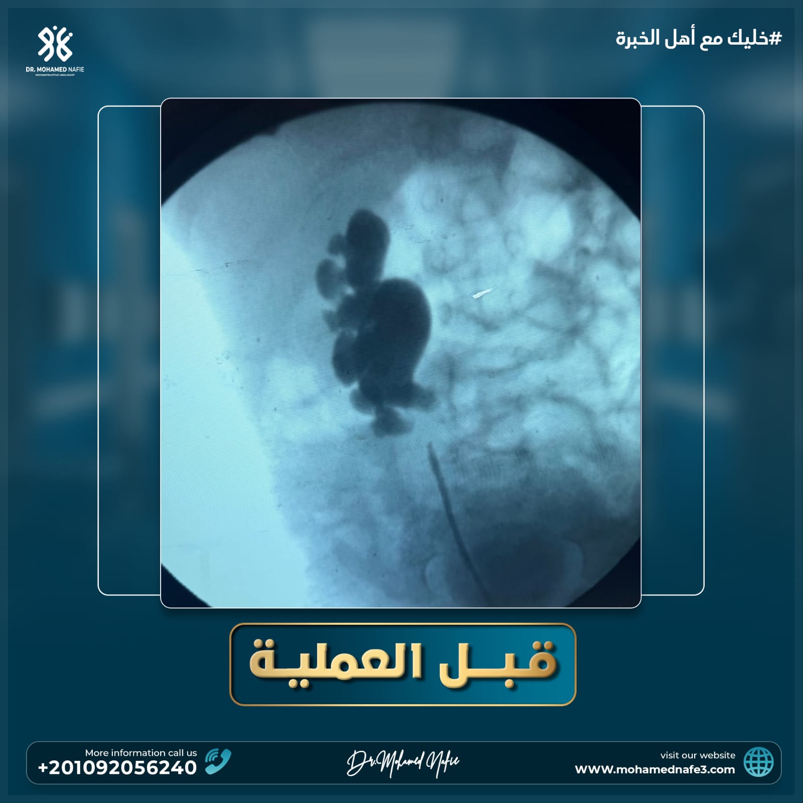 دكتور محمد نافع