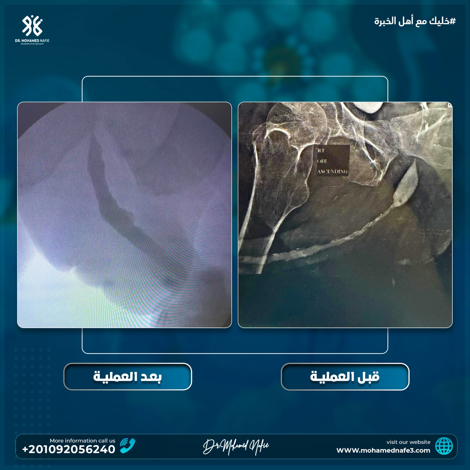 دكتور محمد نافع